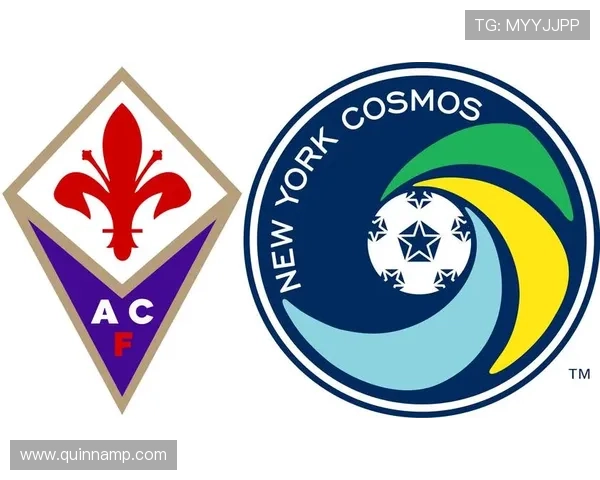 星空体育网站信誉好，选择信誉优良体育网站的五大实用指南